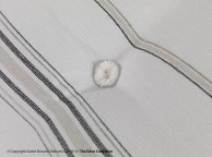 Sweet Dreams Overture 3ft Single 1000 Pocket Sprung Mattress Thumbnail